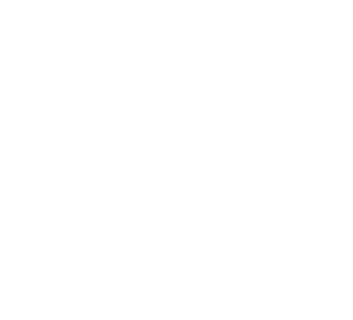 The image is completely blank or white.